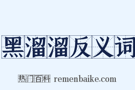 黑溜溜反义词是什么意思的图片